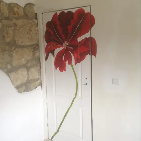 The Flower *